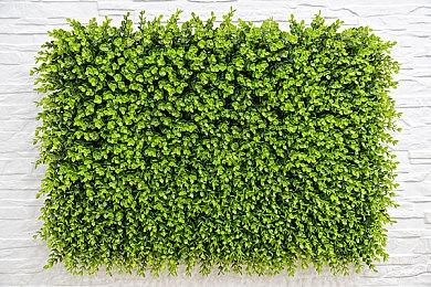 《尼克儿童频道全明星大乱斗2》将推出四名DLC角色